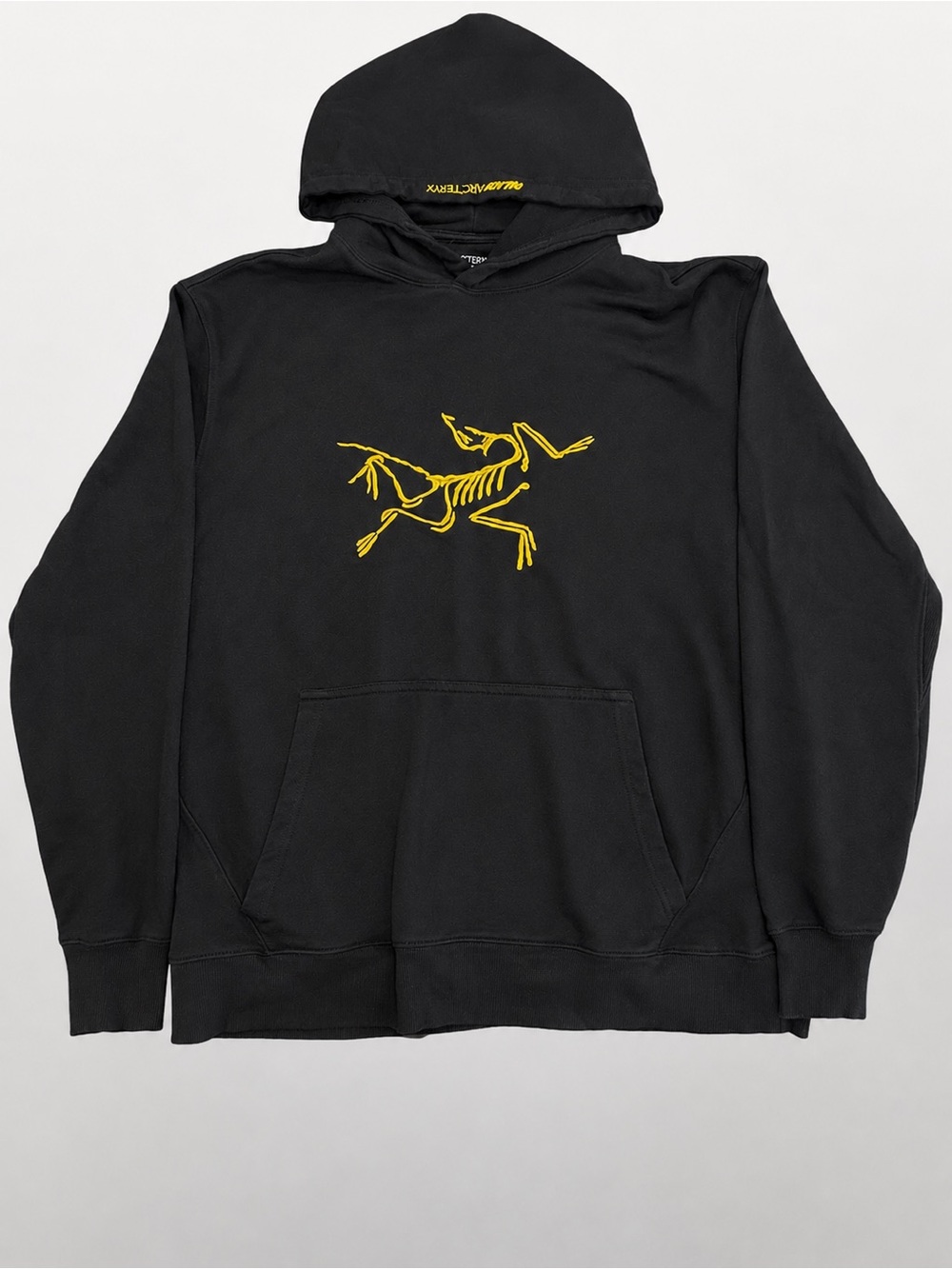 Palace x Arc'teryx Hoodie